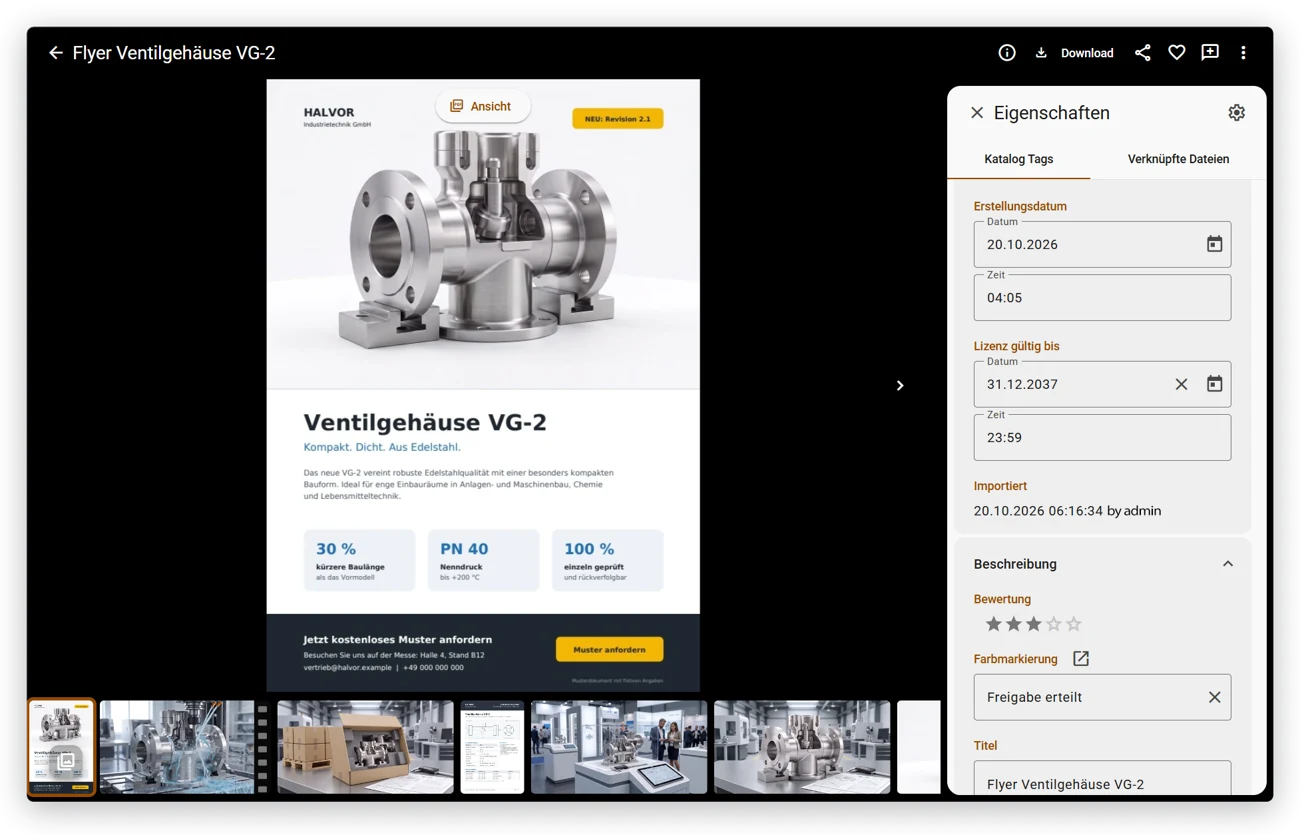 Daminion Web-Client: Eigenschaften eines Flyers mit Lizenz gültig bis 31.12.2037
